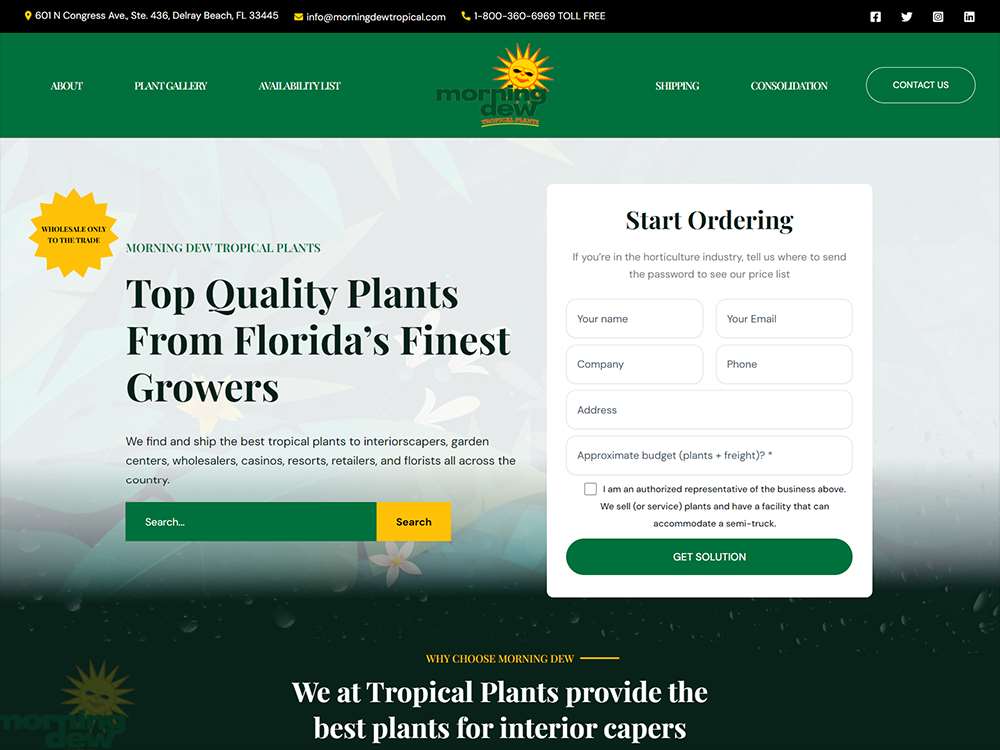 Morning Dew - Florida Plant Company (Wordpress)